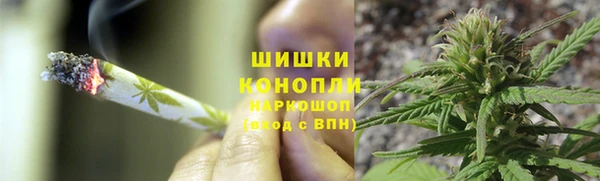 ГАЛЛЮЦИНОГЕННЫЕ ГРИБЫ Алзамай