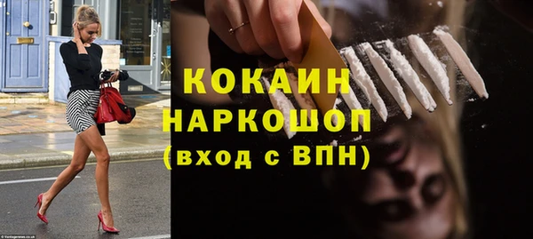 apvp Алексин