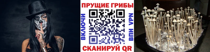 Галлюциногенные грибы прущие грибы Железноводск
