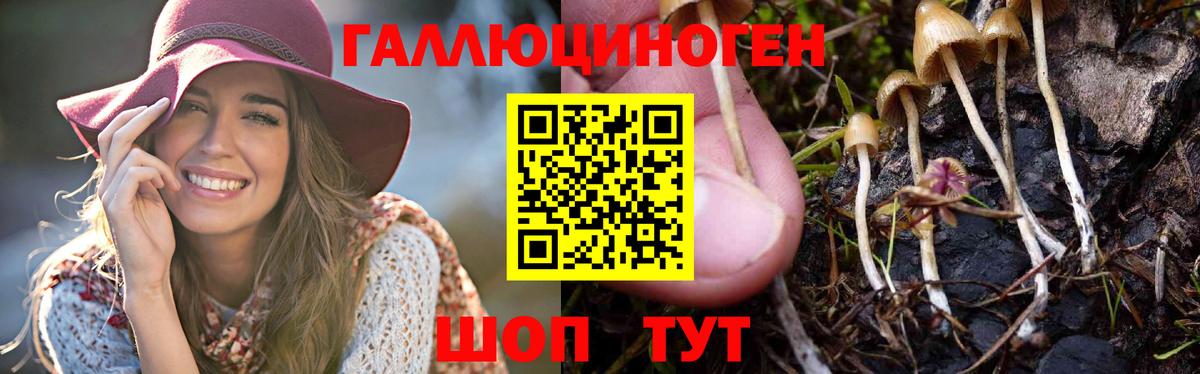 Псилоцибиновые грибы ЛСД Железноводск
