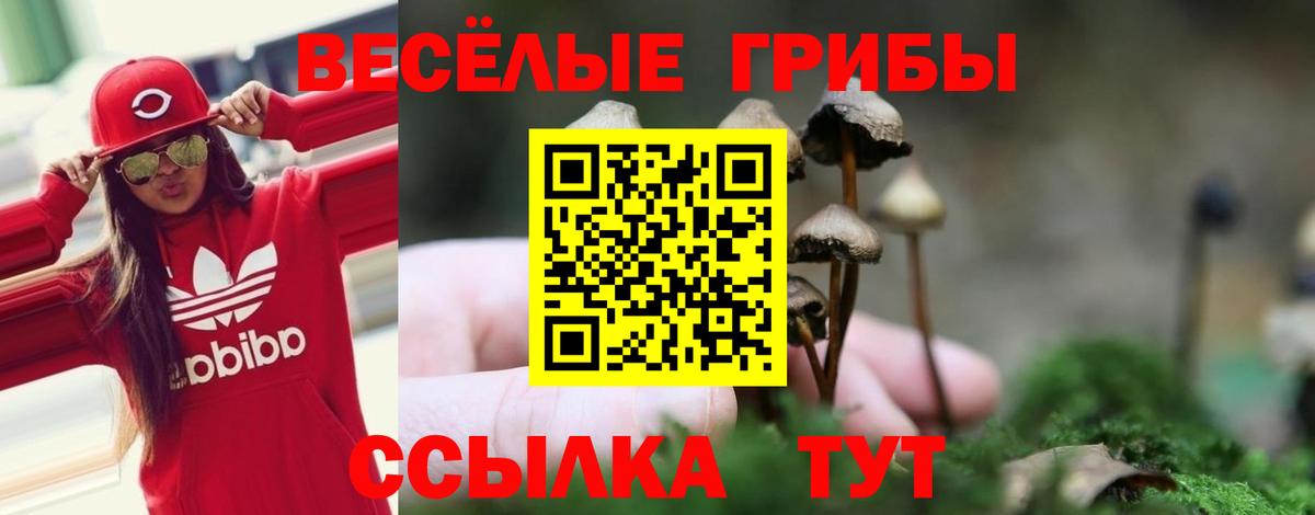 Псилоцибиновые грибы Cubensis  Вход с VPN  даркнет сайт  Железноводск 